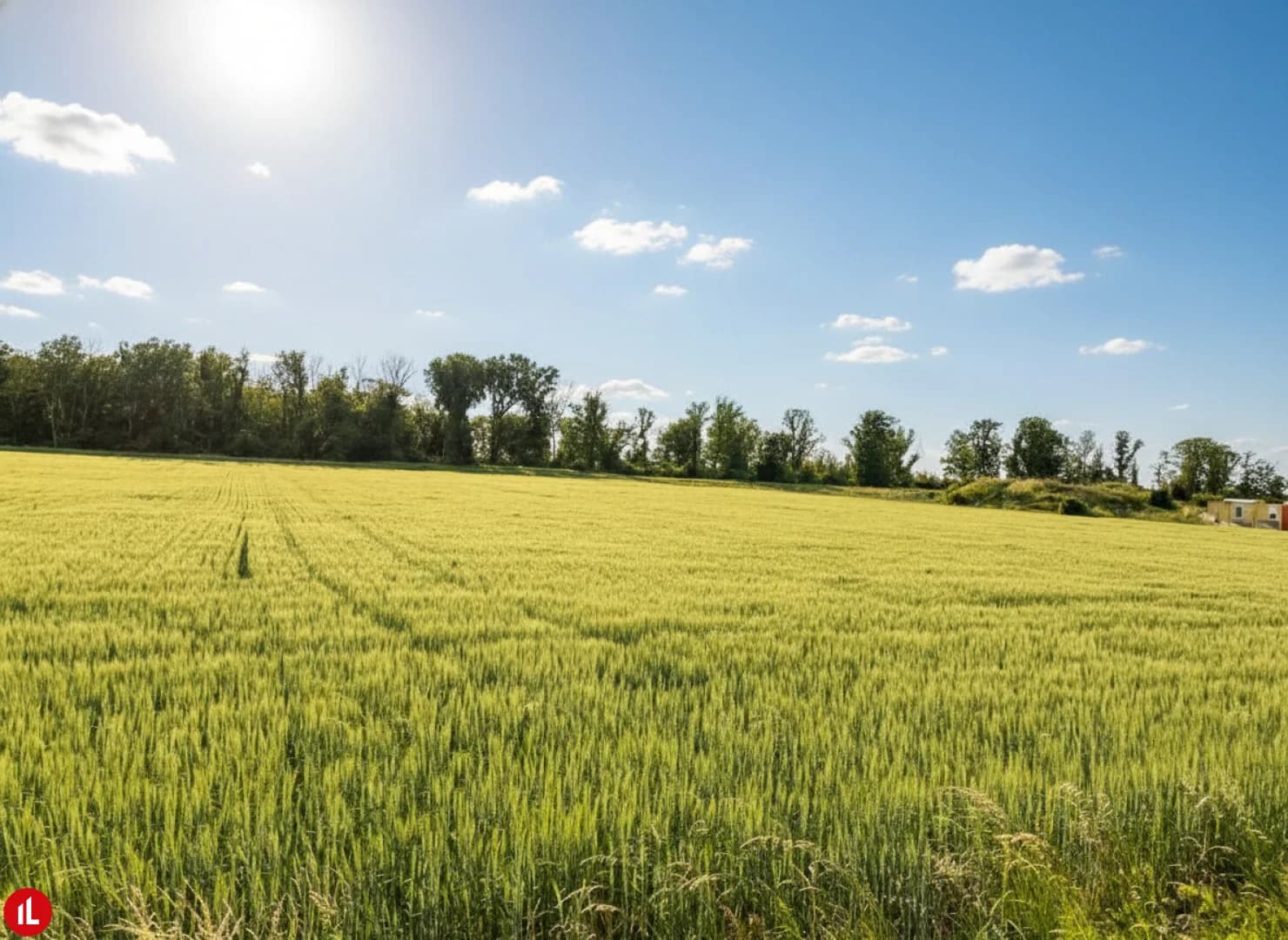 Gesamtareal in Margarethen am Moos – Foto aus dem Leiner-Exposé