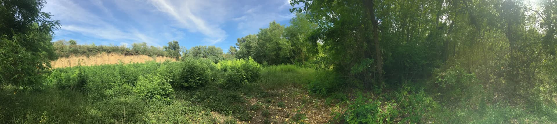 Panorama mit Lehmwänden, Gehölzen und offenen Flächen des Areals im Juli 2017