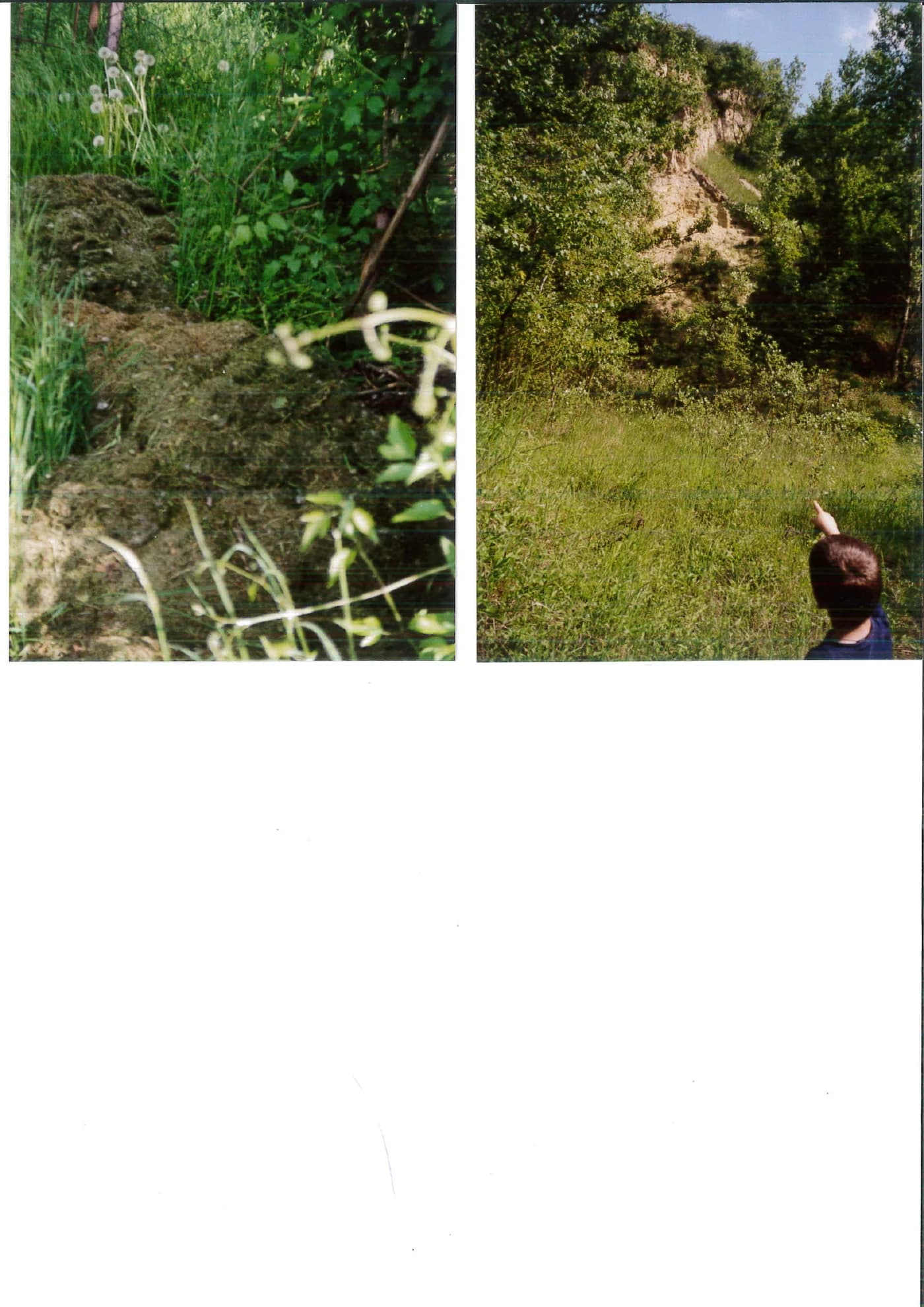 Zwei historische Aufnahmen der Lehmwände aus dem Archivblatt Naturdenkmal 2002